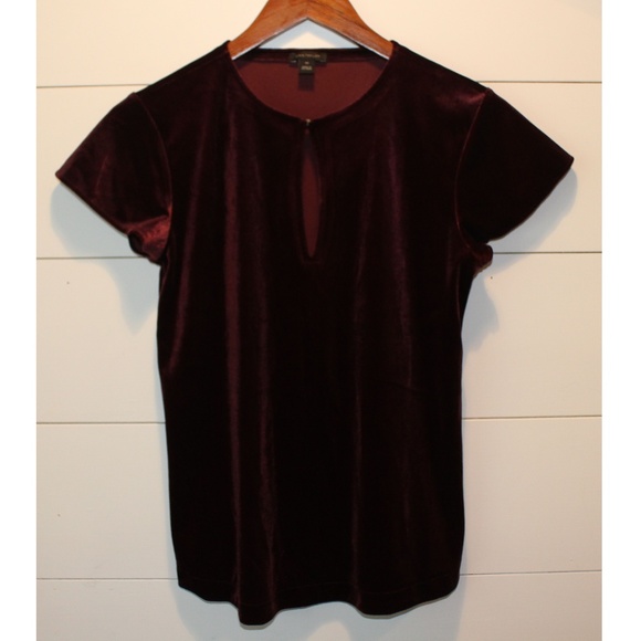 Ann Taylor Tops - Ann Taylor Velvet Short Flutter Sleeve Blouse Top